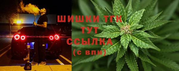 spice Арсеньев