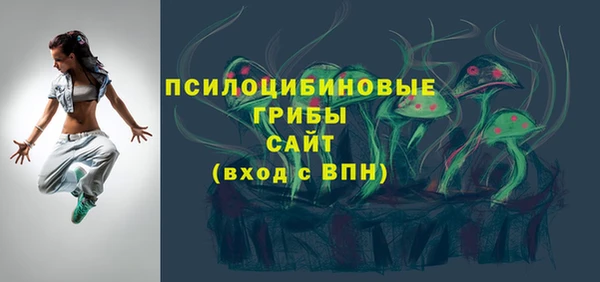 spice Арсеньев