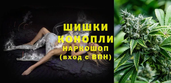 spice Арсеньев