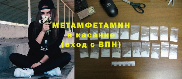 мяу мяу мука Аркадак