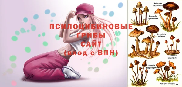 мяу мяу мука Аркадак